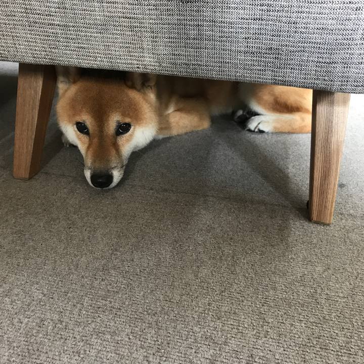 9e8b48e2 5239 4d8f bbd0 4c8faff37695 1534413206767