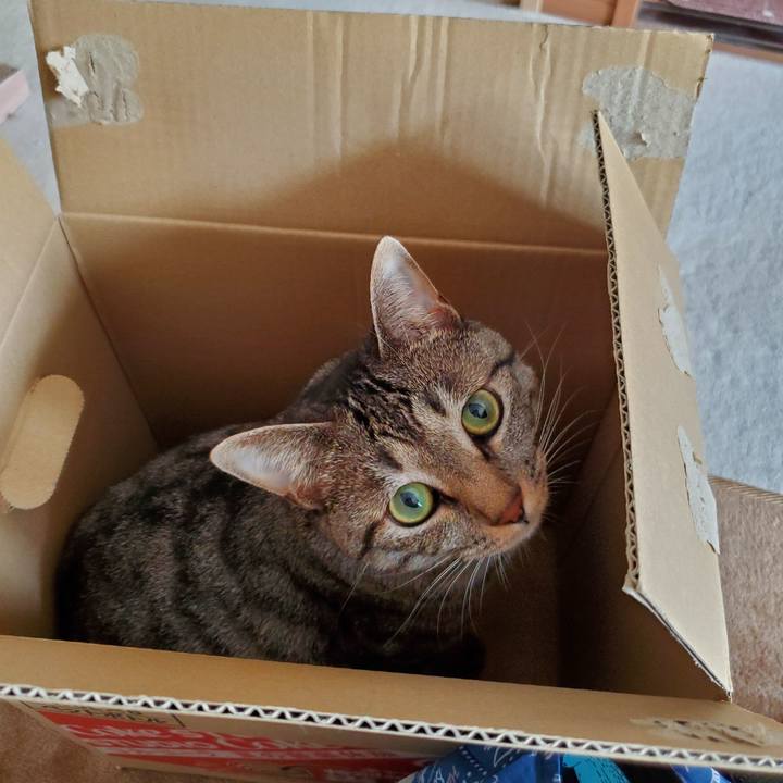 9e8b6524 edbb 42f6 b96d 8c89a7cec2fd 1721368244598