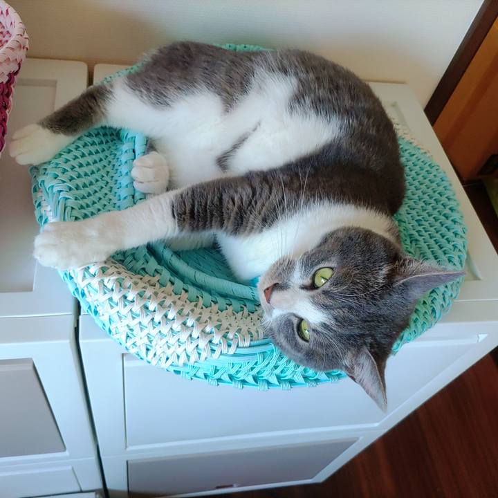 9e8b7c40 c440 4d53 9a03 bff3006a9664 1655595836106