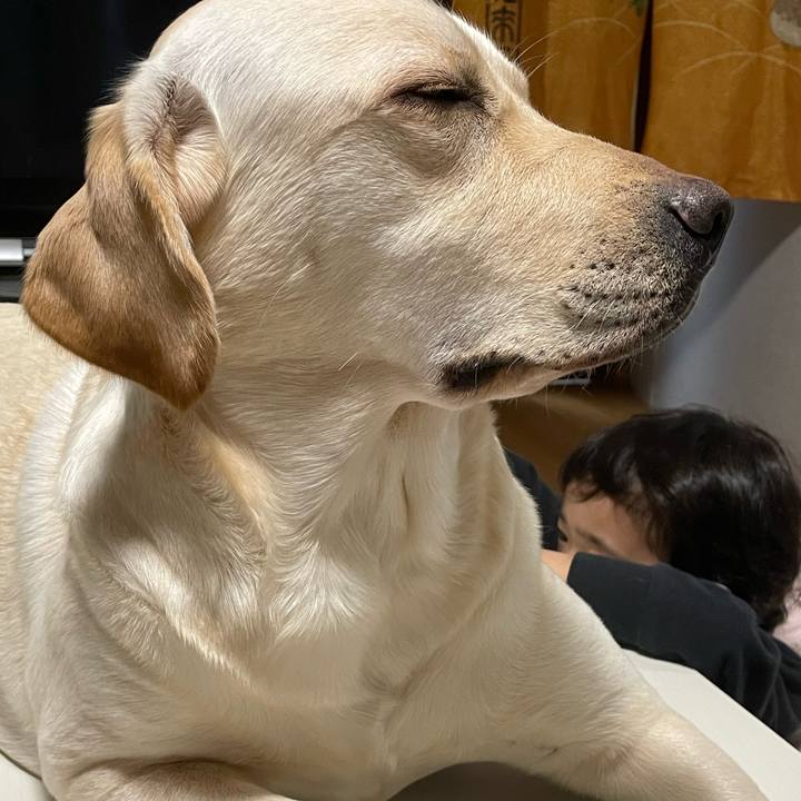 9e8ba7ad f2ec 4a42 ba58 19774404d0e3 1644229711216