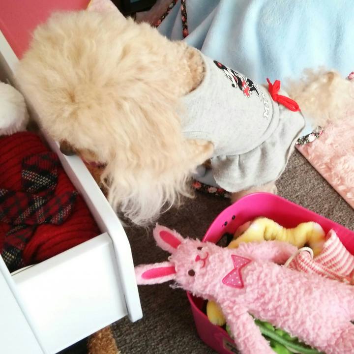 9e8bcf37 8f58 4ded a795 26656e8dfc4e 1542190491312