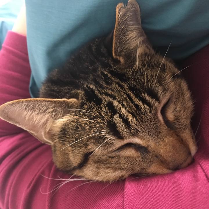 9e8c00ff a854 4bbc 80a4 914fea7313c7 1553856439029