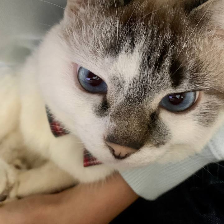 9e8c0e9b b5cb 49be 8efa 0a82cc579cc5 1583556620525