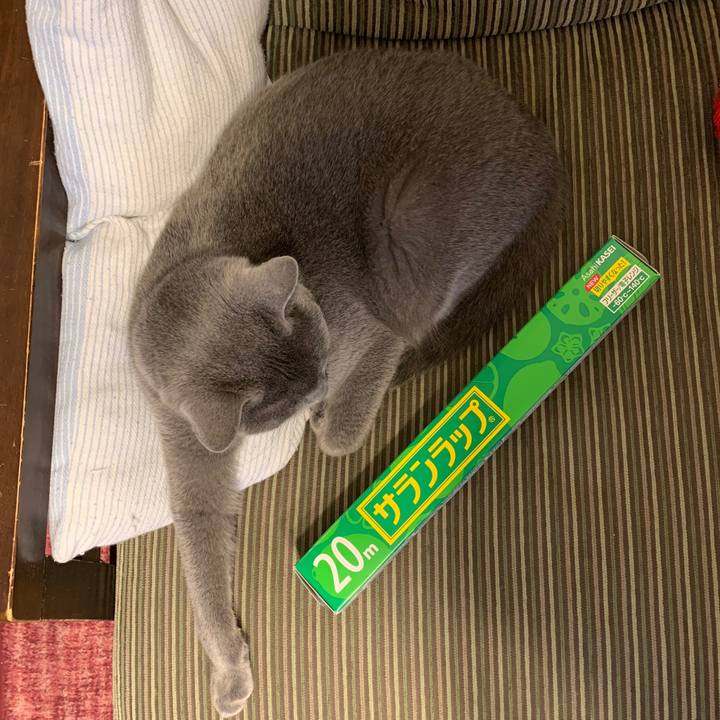 9e8c2da1 aecf 4317 815f a9b4820b20d8 1585085482949