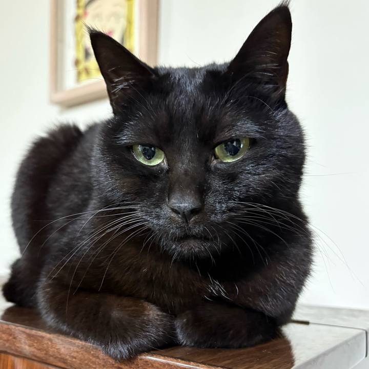 9e8c365a b5c8 465b 8819 81a796e84101 1764198271869