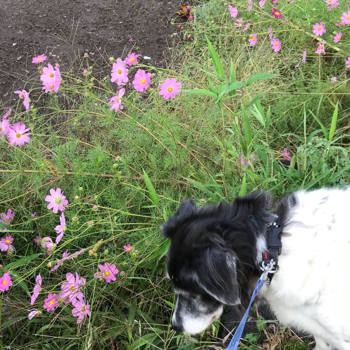 9e8c3d7d 2955 4be9 a2bf 9b098b852986 1538487183191