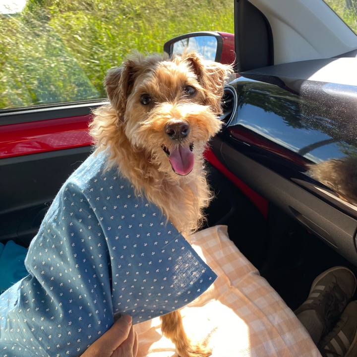 9e8cb153 dae2 4954 9766 4854f0acdc9e 1656287031192