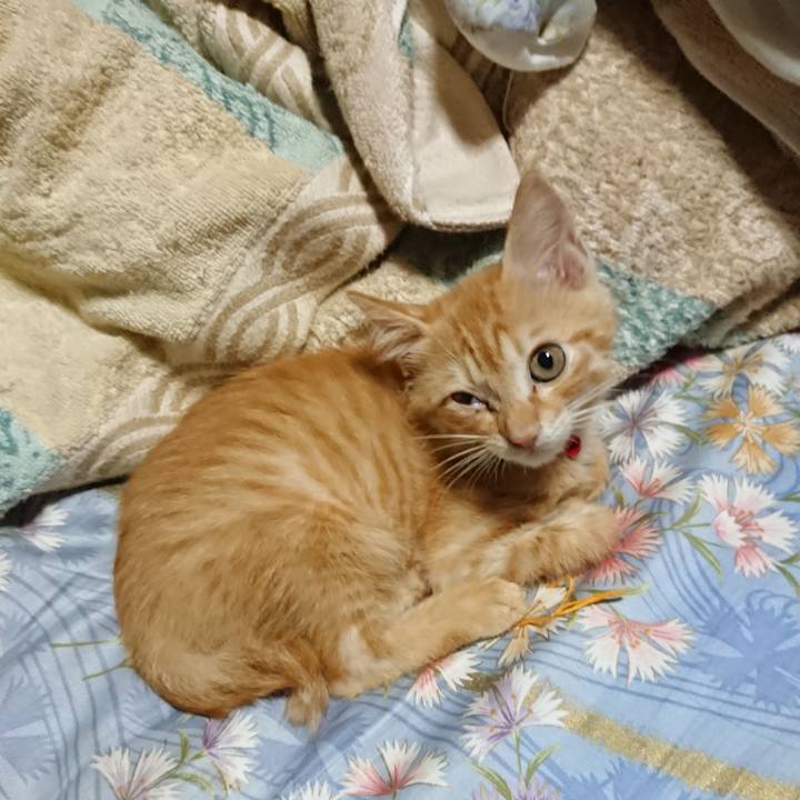 9e8cc083 9d72 4c4e bd52 f022de78025b 1628711981131