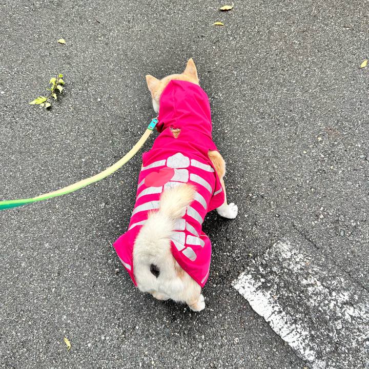 9e8cc175 d306 4c3a 8f49 9a44ea812547 1748580941025