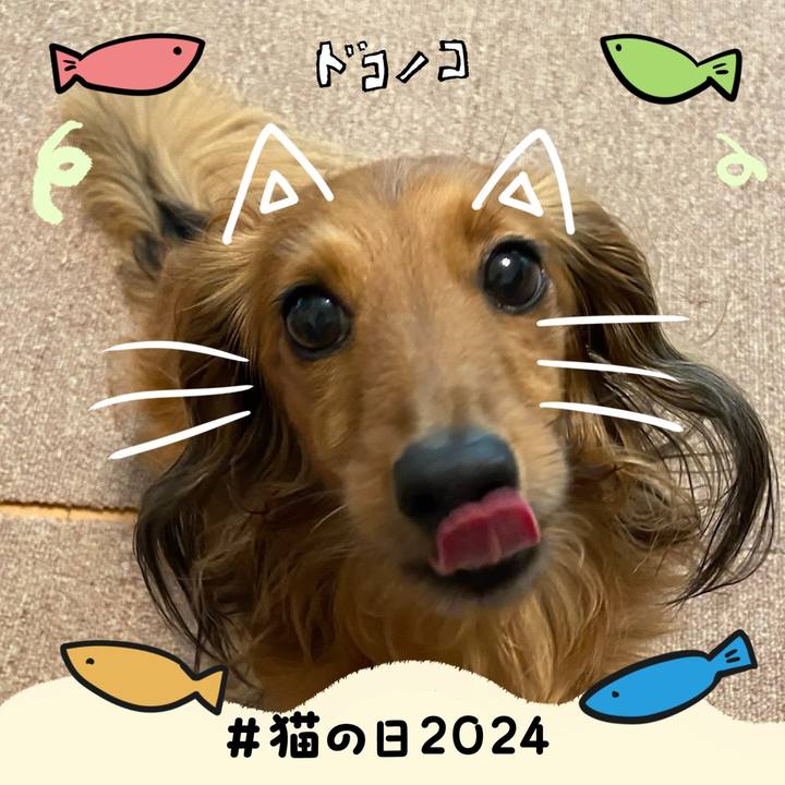 9e8ccd99 e803 4e02 a8cc 55d679aa896a 1708568688827