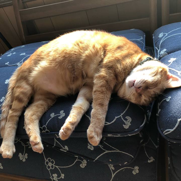 9e8cea4f 0ca4 41f9 bc25 2374c6708e5e 1556979549004