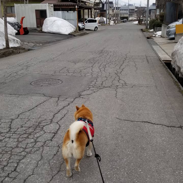 9e8ceb87 6a39 4f21 9b5f f4a5cafc5105 1552790797249