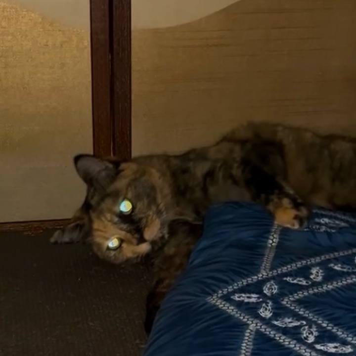 9e8d2fde b041 405b bfd8 f6fcb2dd481f 1754342074943