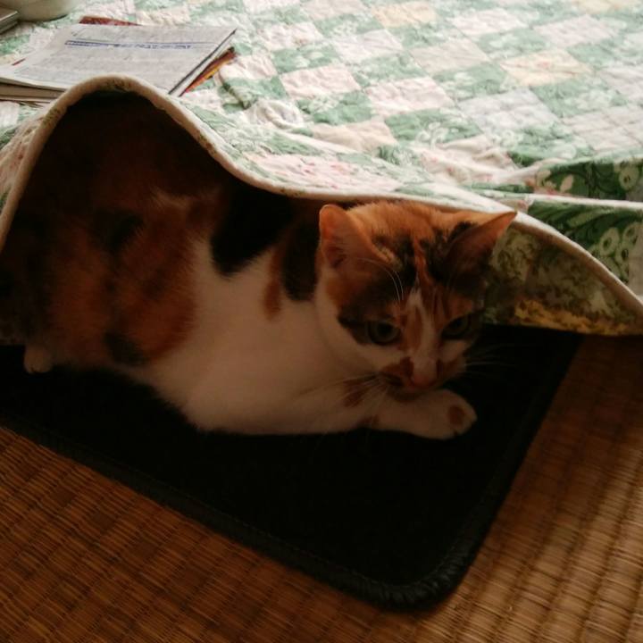 9e8dd0cc 771d 44d8 8c37 3d0c522235b3 1507956282396