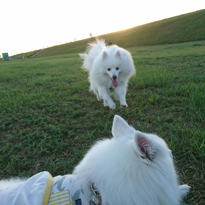 9e8ddf56 b97c 480f 8905 6dd5784aad61 1602404022147