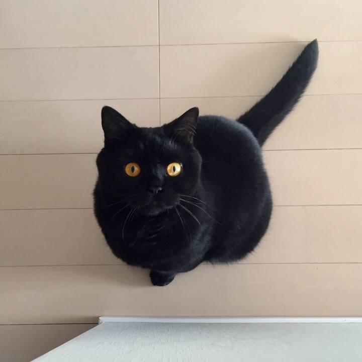 9e8de6fe 1cea 4e43 af56 15364938ff95 1530568084917