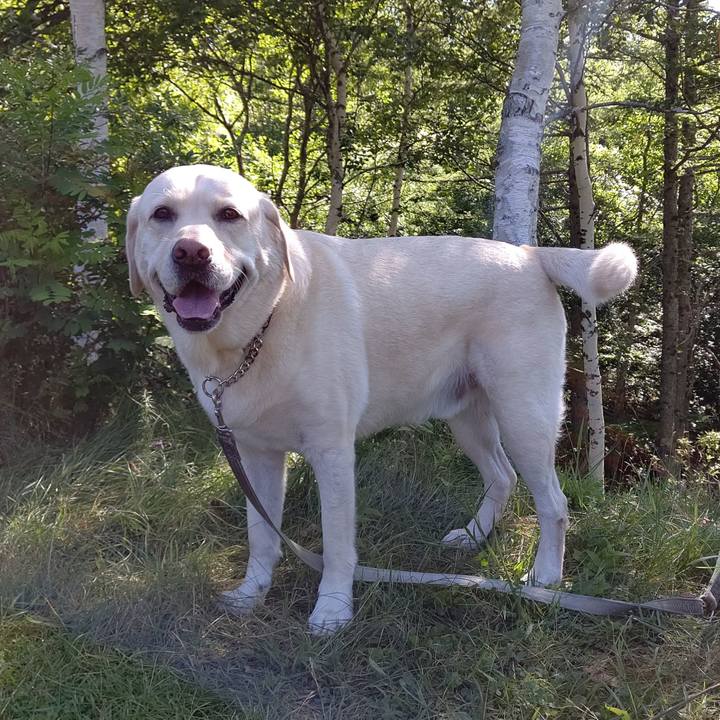 9e8e2123 aafc 4722 b901 a96cc11908a6 1597455513547