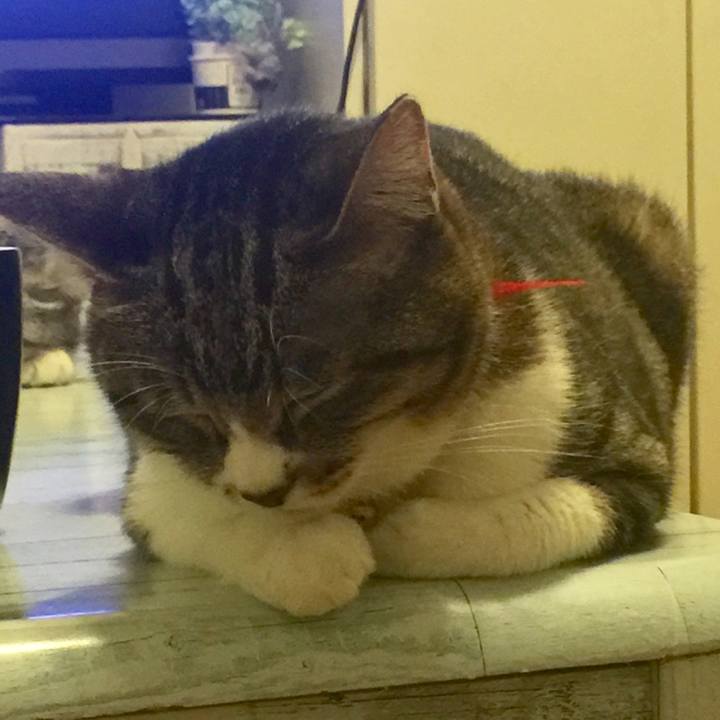 9e8e2b3f 68c7 400c b87c ae0800af85f4 1560955121111