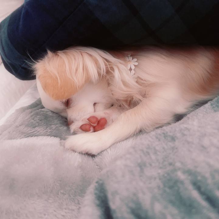 9e8e2cc2 4b66 479c b569 e5f3d355cc2f 1708049491823