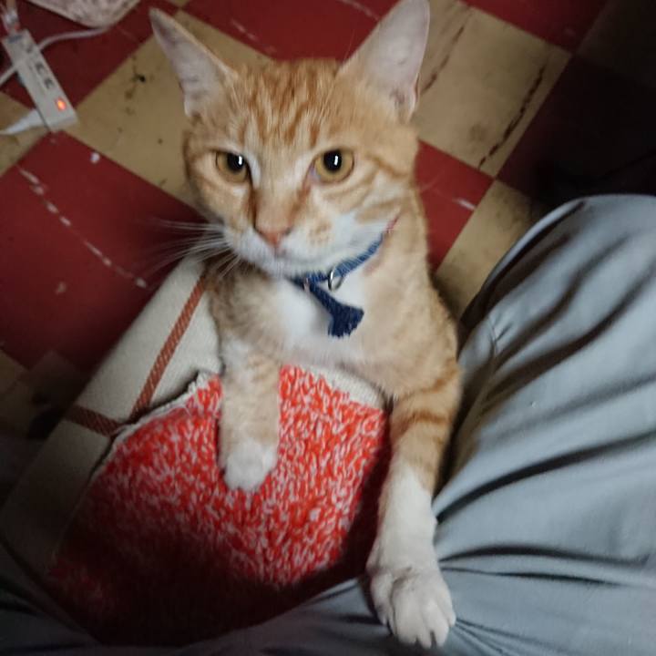 9e8e2d7f 7cb9 43a3 bcb9 74b86d0331bc 1560163059529