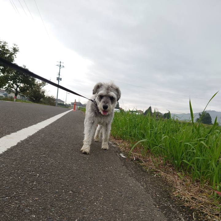 9e8e451b 80ac 4ba6 9c84 cb271140d944 1760310384165