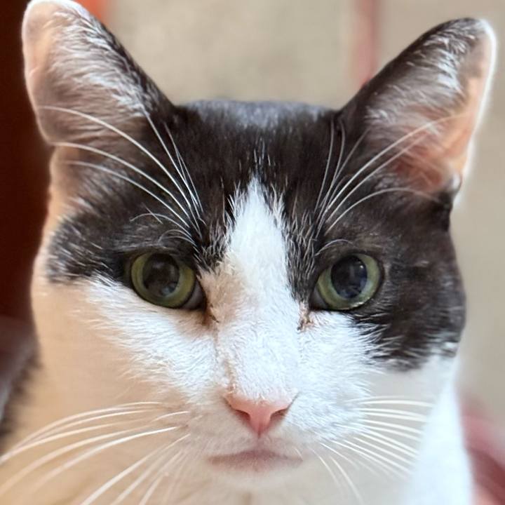 9e8e62c4 c5a3 4356 8826 d11007cae822 1761963534521