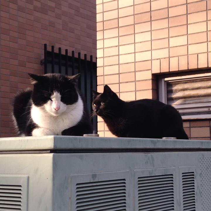 9e8f5c3c b9f7 483e ba16 1d89a034404c 1510574597145