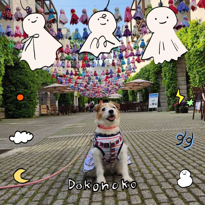 9e8f5d91 00dd 4aff a6a6 37a175df149e 1749356055248