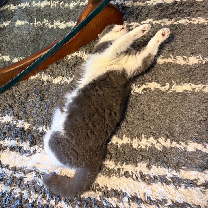 9e8f5e88 6331 428e a482 a69bd4b0e2f0 1767063858200