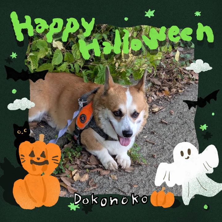 9e8f692c d688 4178 8562 02b3e61442b1 1730262901641