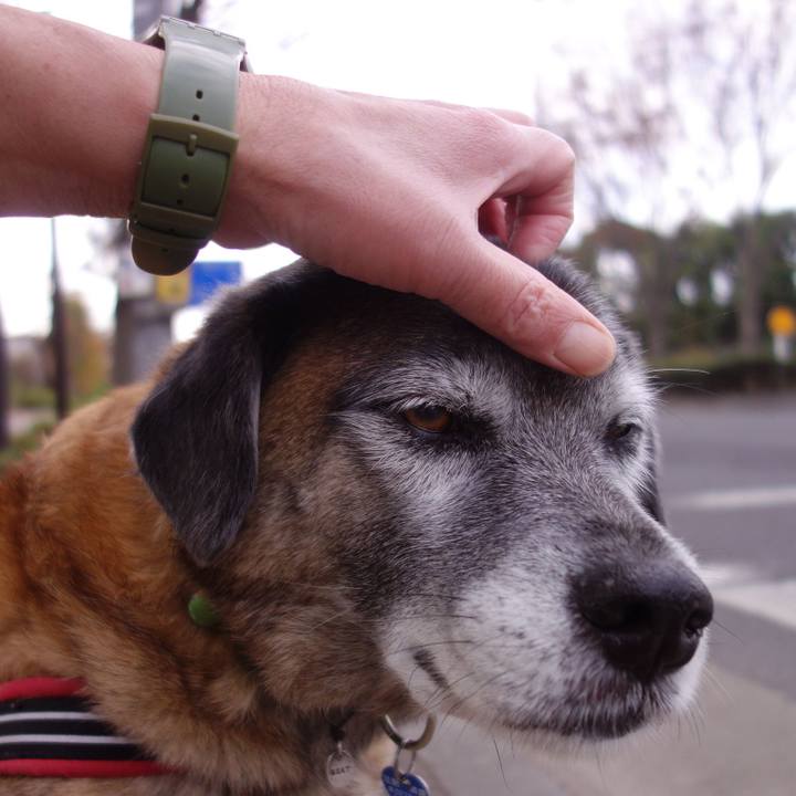 9e8f6ec6 170f 42f4 83c7 f4e504d0ec74 1653877529576