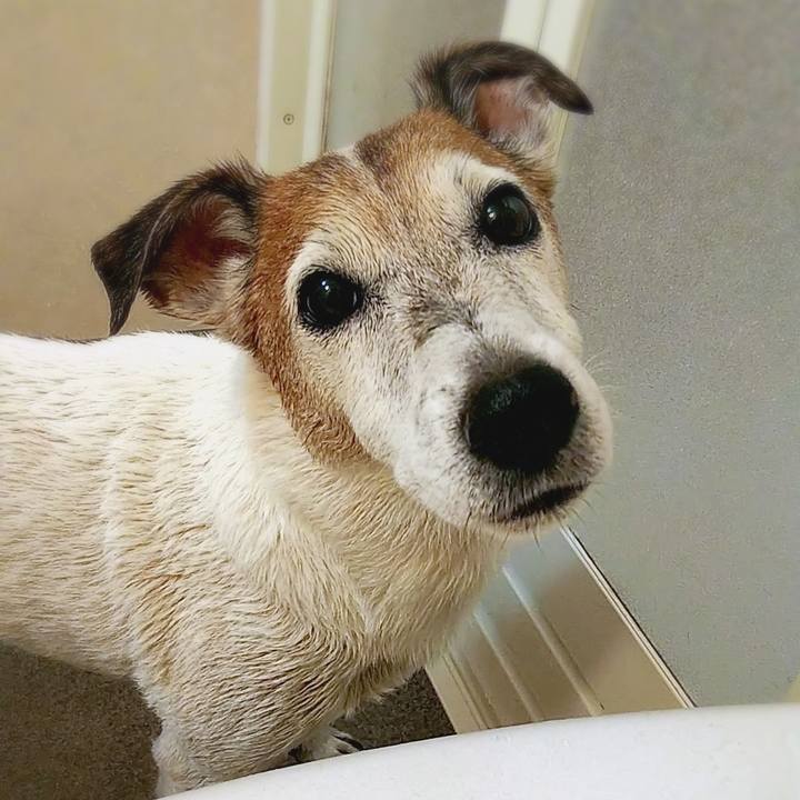 9e8f9fd9 50d4 4569 bd8f c59499fa4438 1537154593340