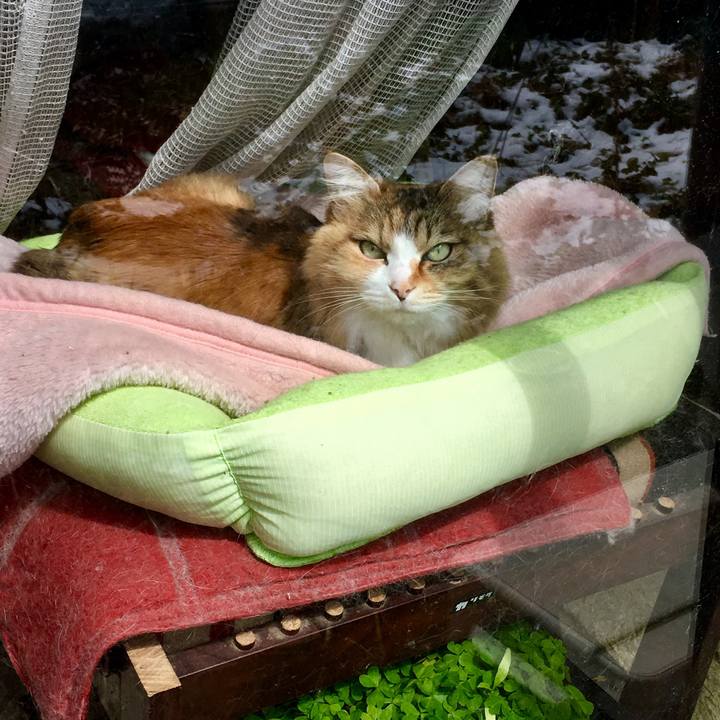 9e8fb1da ed51 4a1c b088 4c9f1f403b9e 1554005756218