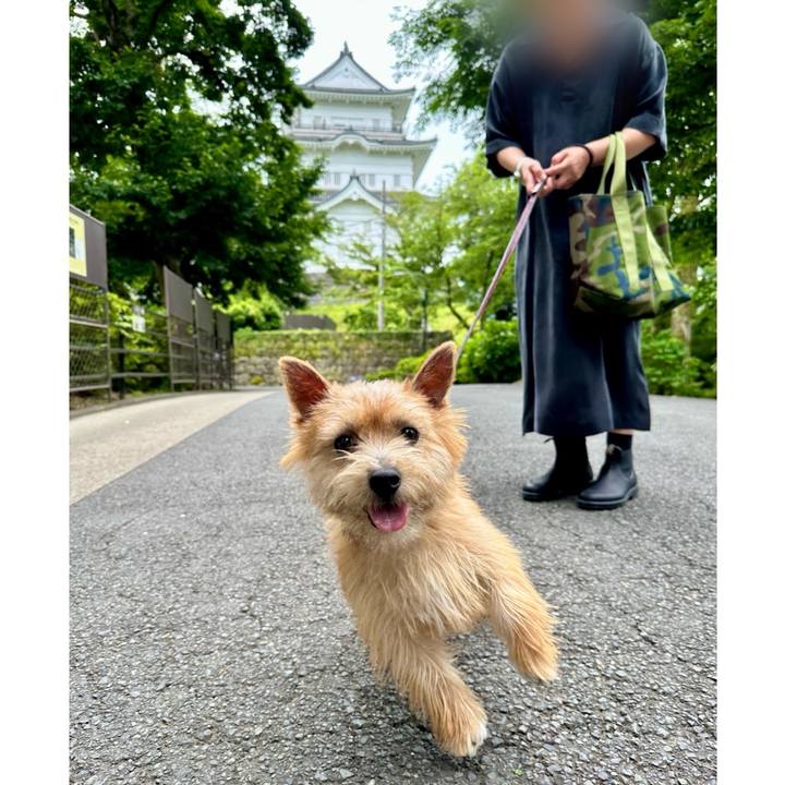 9e8fb61b f0e8 4b06 81d5 aa14a0210d3c 1716648522132