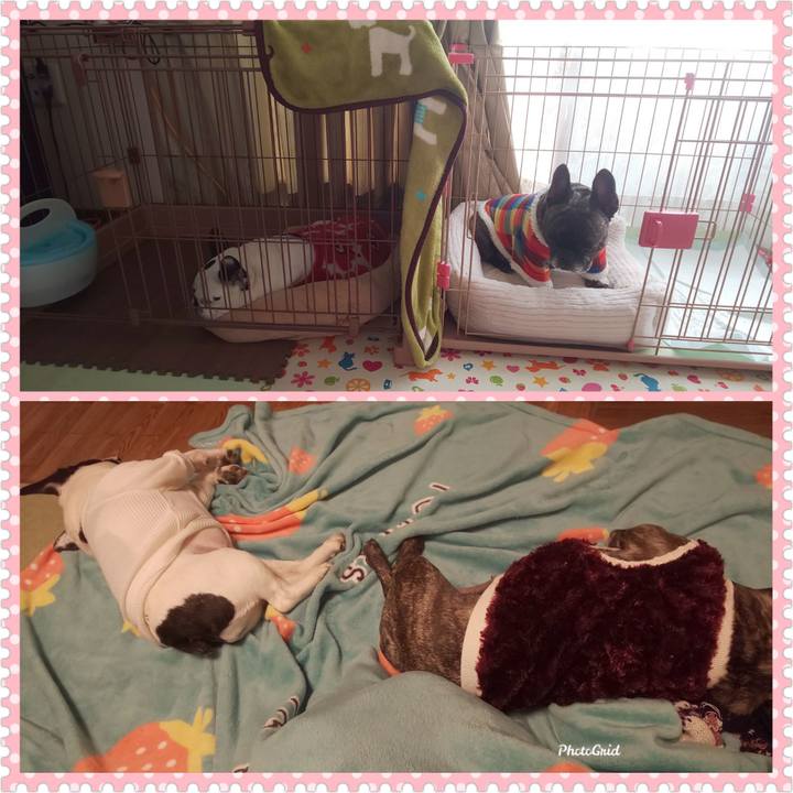 9e8fcc00 048c 4401 8c0e 83d4a88916d9 1675048859380