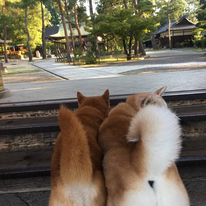 9e8fd82e 76e2 4f0a b5d9 e7647dd0cae3 1531608582737