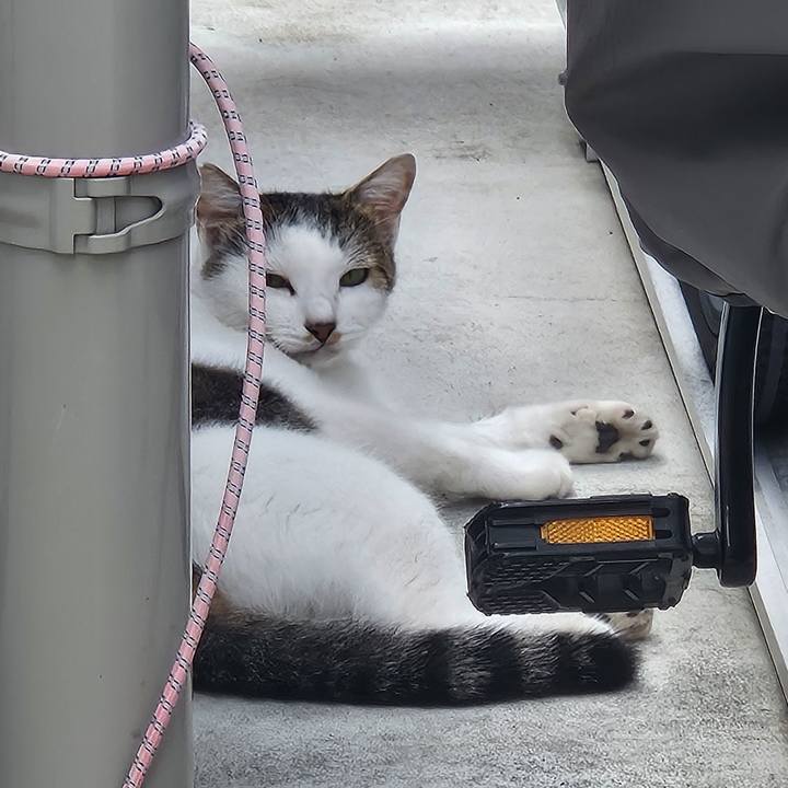 9e8fecb2 2399 4454 8311 032a40e769c1 1724818280135