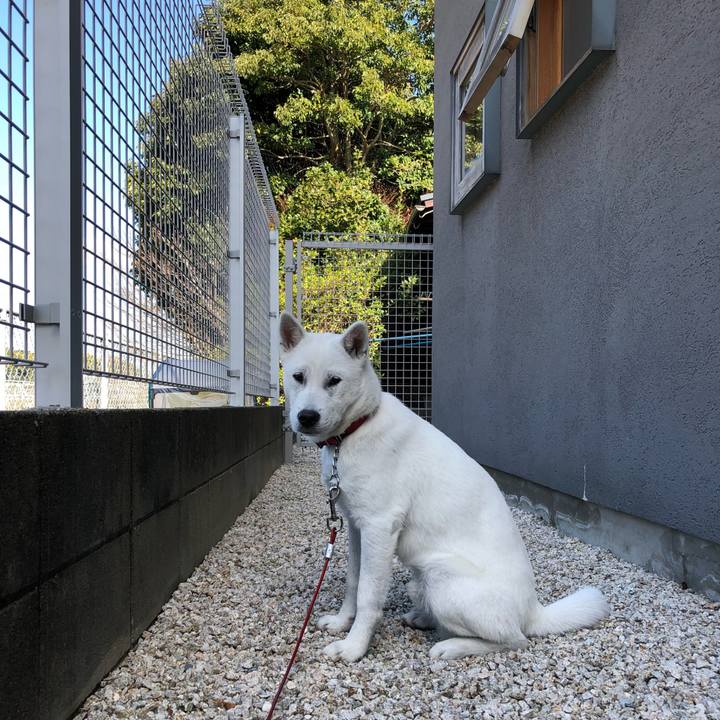 9e8ff732 05de 4e62 9b78 b31fd28859ea 1520646863401