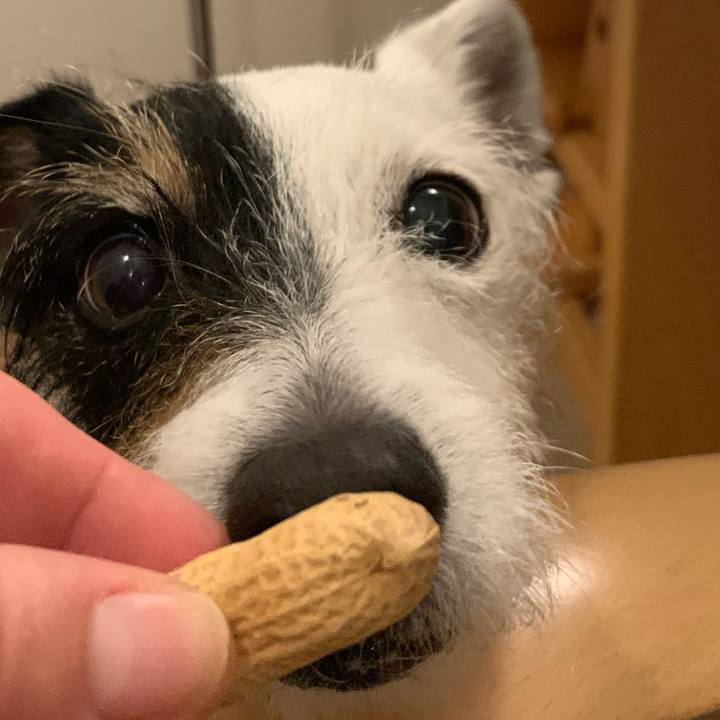 9e901c64 6430 4ef7 8890 59323152f597 1747834653499