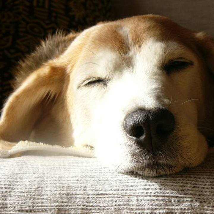 9e902862 86c7 402b 8025 4f06b822058f 1675213010633