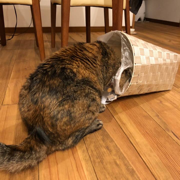 9e903dbb 41bb 422e a15d 3ff292d17b05 1559376208530