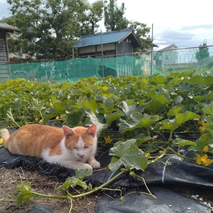 9e9042dc b8c9 4cb5 a7f9 3f6784df6556 1752743761118