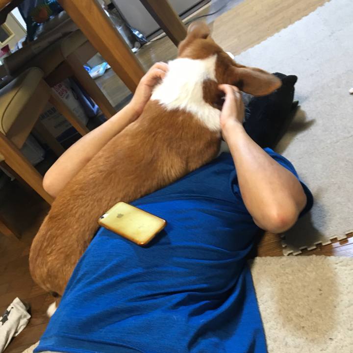 9e90541d 98b9 4ec9 a08e 87dd87a5b915 1597222743273