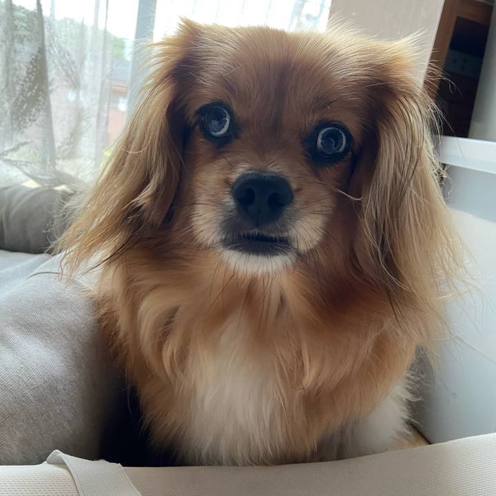 9e9060e0 e2de 4d0b 8c46 f1bc1e778616 1590192113096