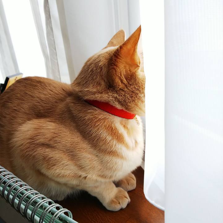 9e90d4c2 0f92 4a9a 9628 389266af9da1 1556314845586