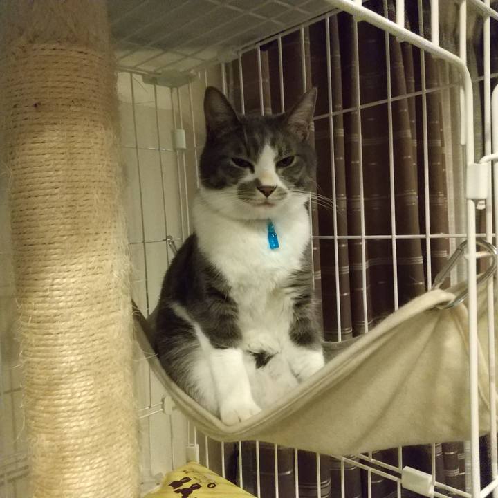 9e90ea9d 5a10 4a06 a6b2 cebba876b102 1612866964433