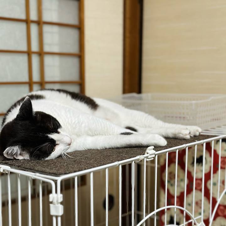 9e90ee03 30c7 466e 8f68 8e2b6269b732 1690678757607