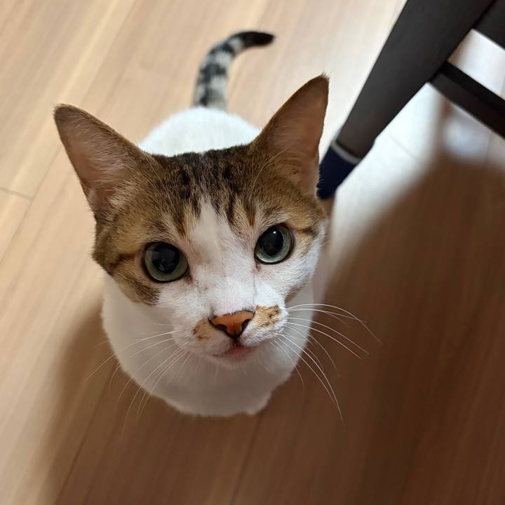 9e90f162 0703 423d b5f5 3f79d440354d 1764375435586