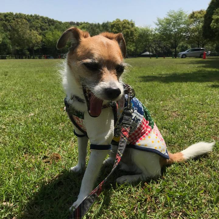 9e913768 9e75 4c56 8609 a4c6acdcc2e6 1524982063839