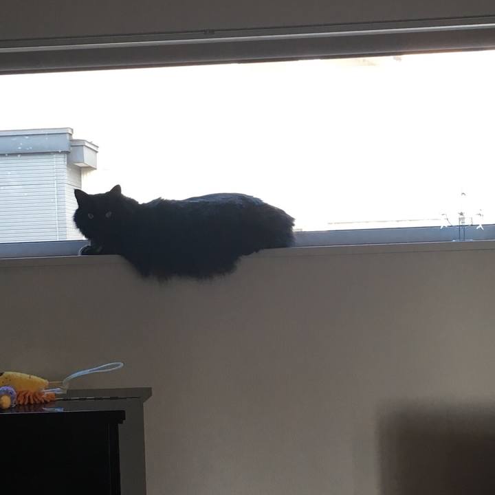 9e915531 e53d 4d58 a059 17b4d589dec5 1557395514073